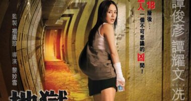 未公秋香港映画 - 元レンタル店店長まぁくのB級日常映画館